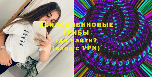 прущая мука Гусиноозёрск