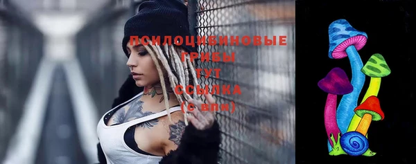прущая мука Гусиноозёрск