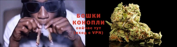 прущая мука Гусиноозёрск