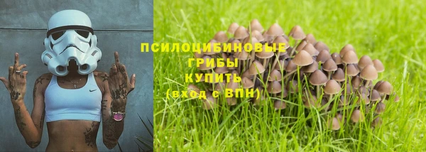 2c-b Гусь-Хрустальный