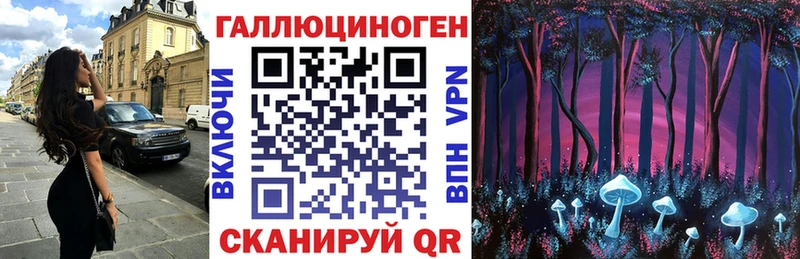 MEGA как зайти  что такое наркотик  Зверево  Псилоцибиновые грибы Psilocybe 